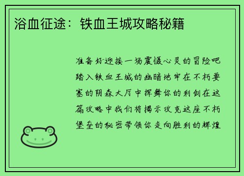 浴血征途：铁血王城攻略秘籍